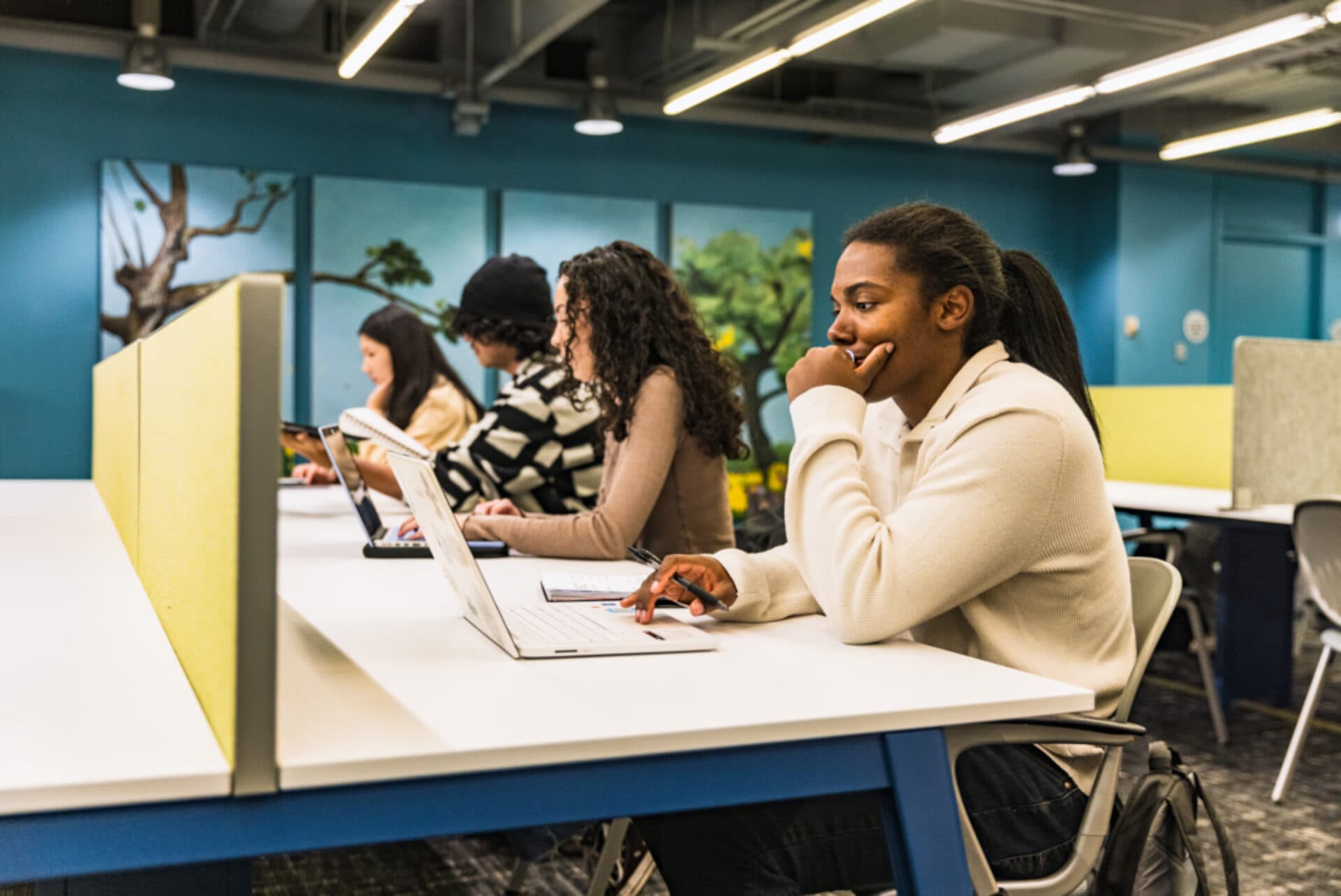 North Park campus in fall